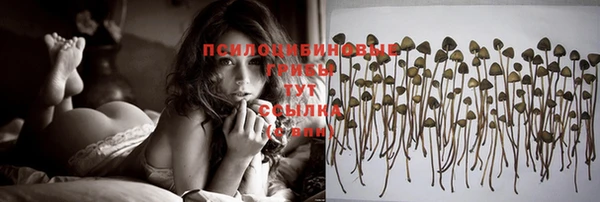 кристаллы Ельня