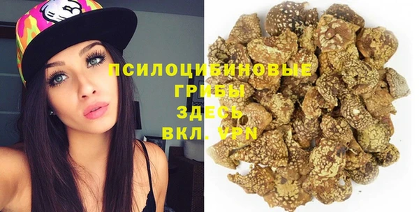 сатива Елизово