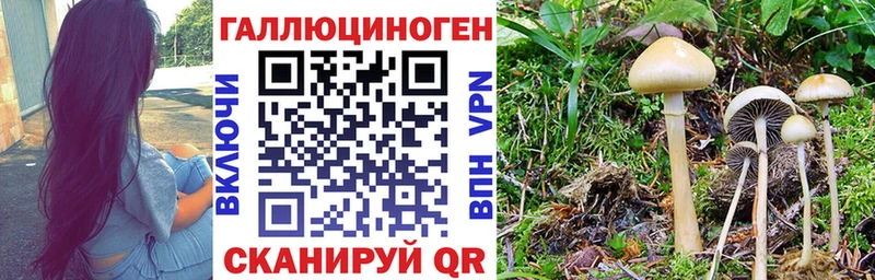 Псилоцибиновые грибы мухоморы  Купить где  Сергач 